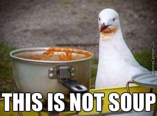 This Is Not Soup Funny Bird Meme Picture