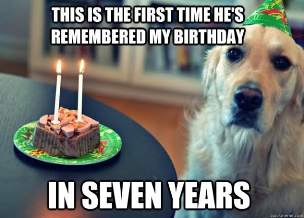 This Is The First Time He's Remembered My Birthday Funny Animal Image
