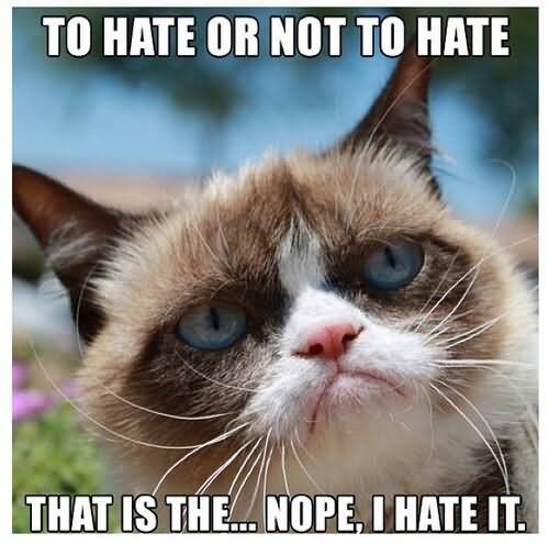 To Hate Or Not To Hate That Is The Nope I Hate It Funny Cat Meme Picture