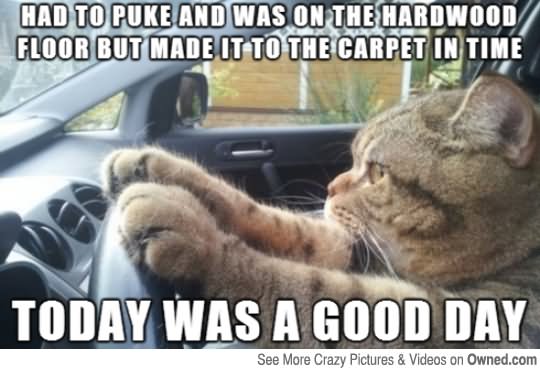 Today Was A Good Way Funny Cat Meme Image For Facebook