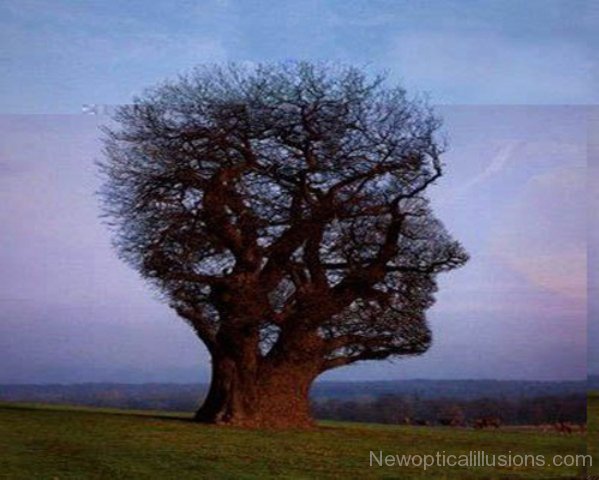Tree Man Face Optical Illusion Image