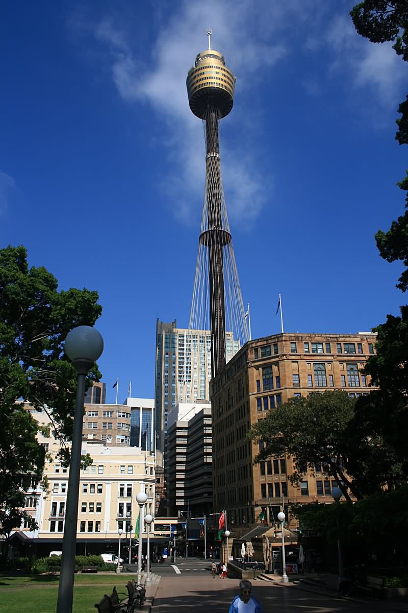 Very Beautiful Picture Of Sydney Tower