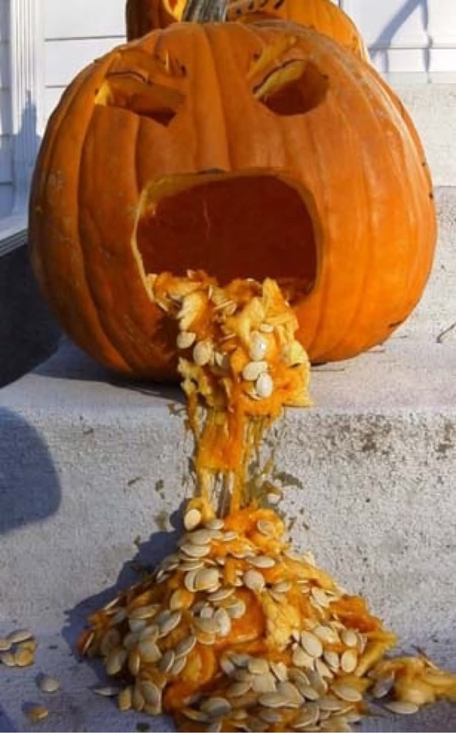 Vomiting Halloween Pumpkin Funny Picture