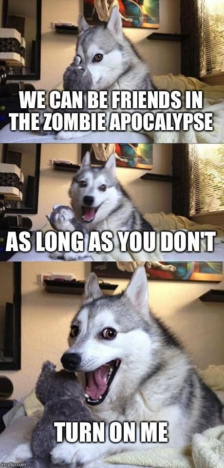 We Can Be Friends In The Zombie Apocalypse Funny Meme Picture