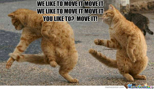 We Like To Move It It Funny Dance Meme Picture