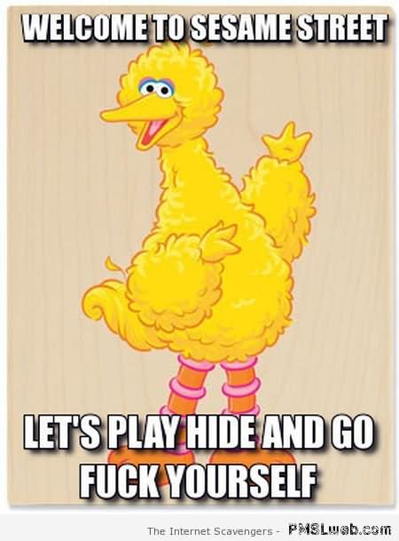 Welcome To Sesame Street Funny Bird Meme Picture