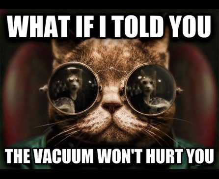 What If I Told You Funny Cat Meme Photo