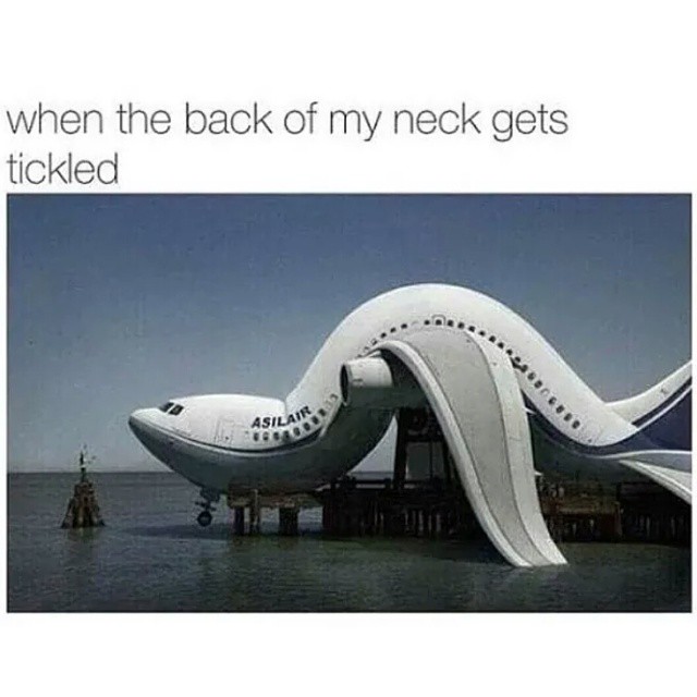 When The Back Of My Neck Gets Tickled Funny Plane Meme Image