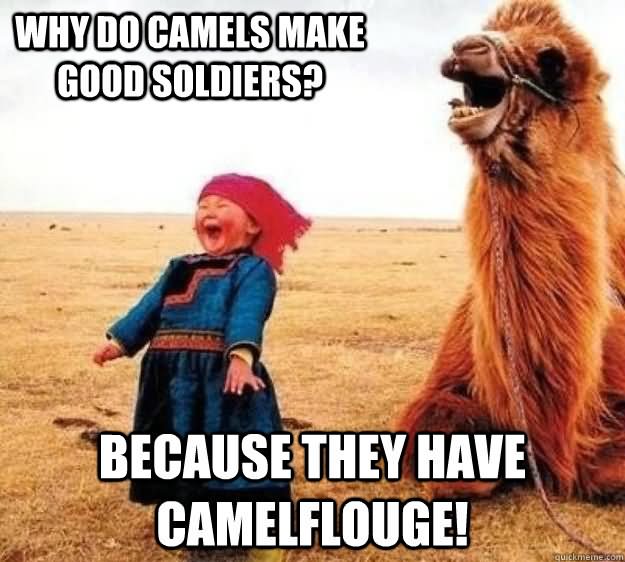 Why Do Camels Make Good Soldiers Funny Meme Image