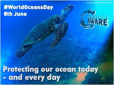 World Oceans Day 8th June Protecting Our Ocean Today And Every Day