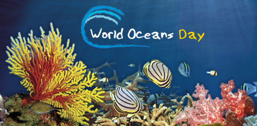World Oceans Day Beautiful Underwater Picture