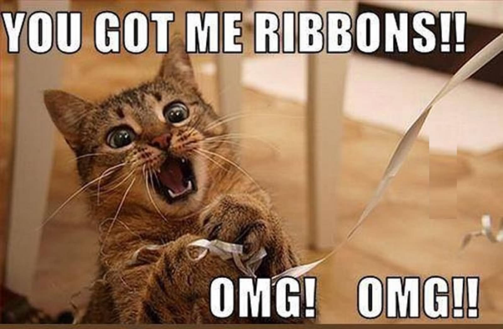 You Got Me Ribbons Funny Cat Meme Image