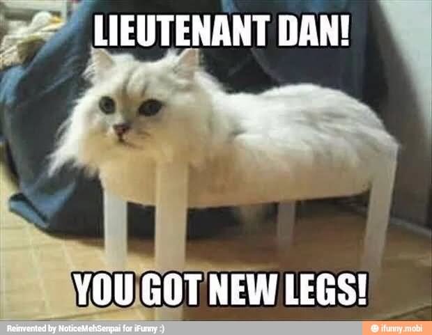 You Got New Legs Funny Cat Meme Picture For Whatsapp