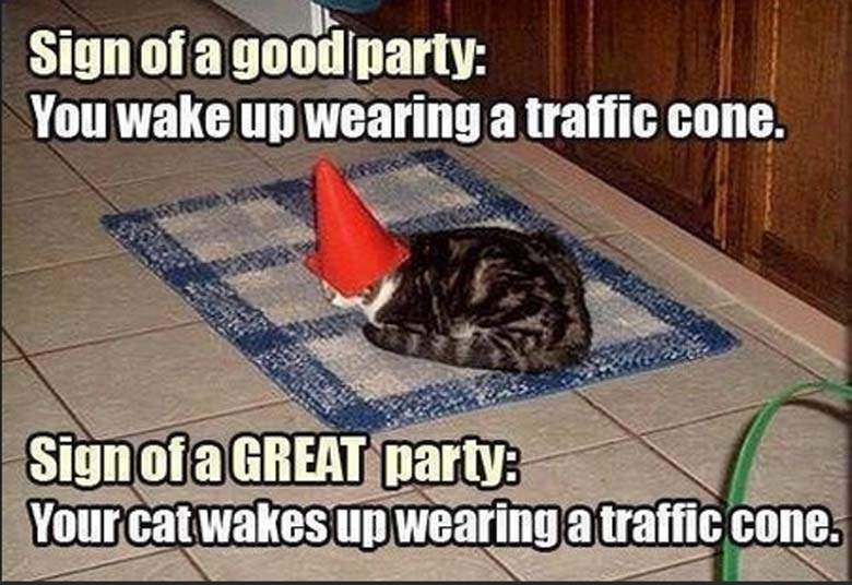 You Wake Up Wearing A Traffic Cone Funny Halloween Meme Image