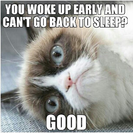 You Woke Up Early And Can't Go Back To Sleep Funny Meme Image