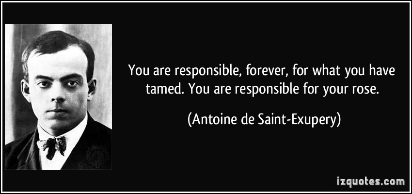 You are responsible, forever, for what you have tamed. You are responsible for your rose  - Antoine de Saint_Exipery