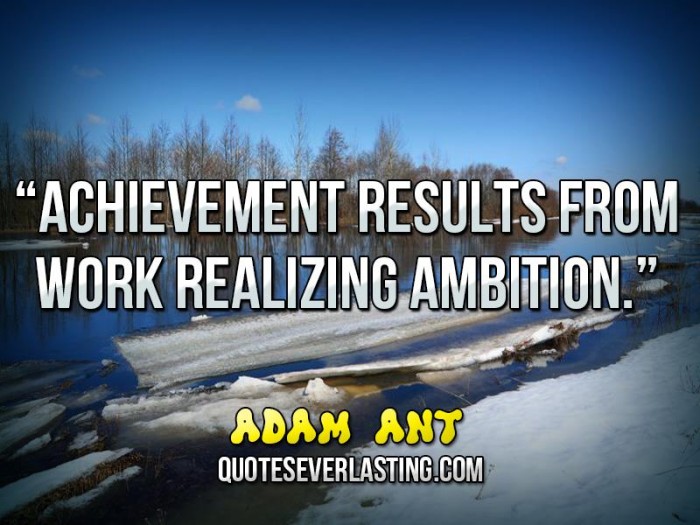 chievement results from work realizing ambition  - Adam Ant