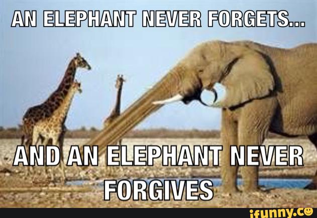 An Elephant Never Forgets Funny Meme Image