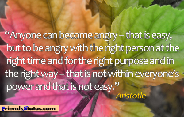 Anyone can become angry - that is easy, but to be angry with the right person at the right time, and for the right purpose and in the right way - that is not within everyone's power and that is not easy