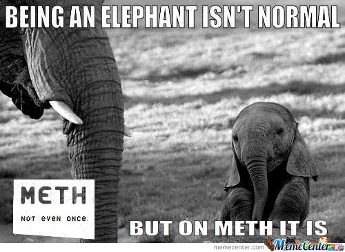 Being An Elephant Isn't Normal Funny Meme Picture