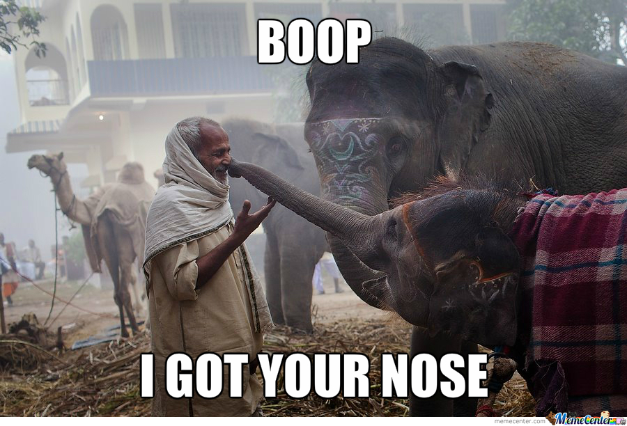 Boop I Got Your Nose Funny Elephant Meme Image For Whatsapp