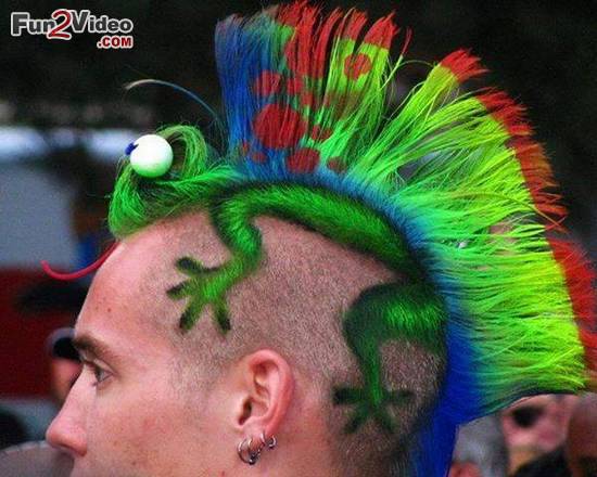 Chameleon Haircut Man Funny Picture