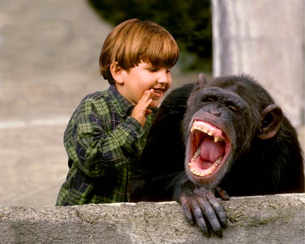 Chimpanzee Laughing With Boy Funny Image For Facebook
