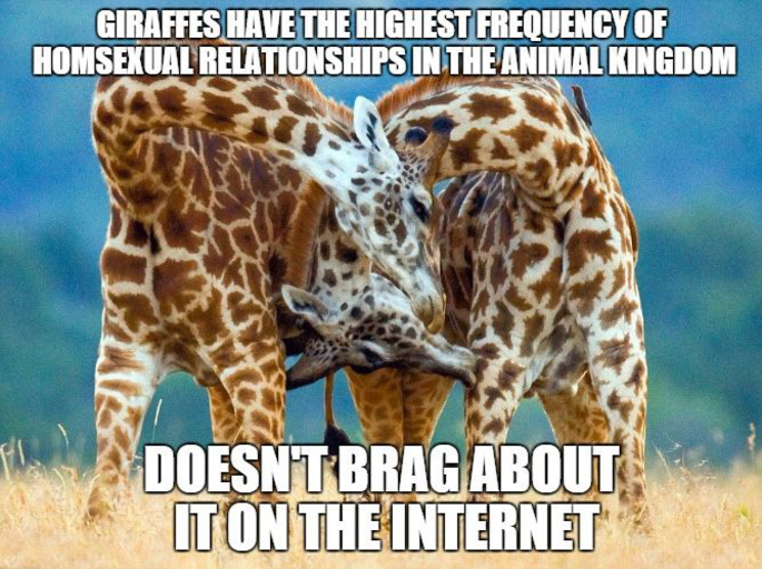 Doesn’t Brag About It On The Internet Funny Giraffe Meme Photo