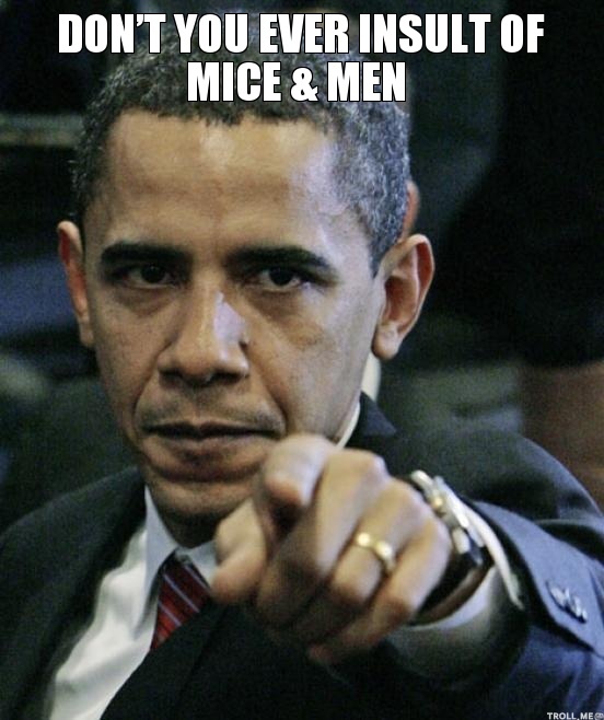 Don't You Ever Insult Of Mice & Men Funny Meme Picture