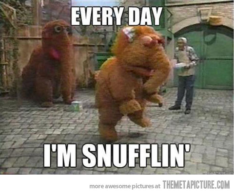Every Day I Am Snufflin Funny Elephant Meme Picture