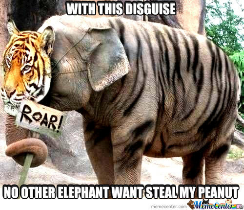Funny Elephant Meme No Other Elephant Want Steal My Peanut Picture