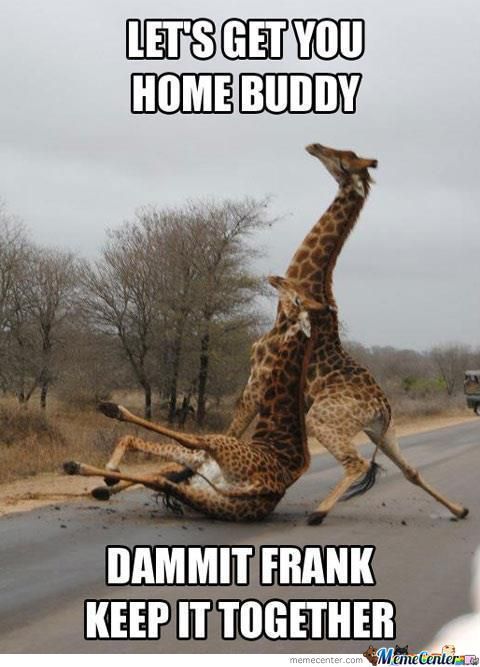 Funny Giraffe Meme Let's Get You Home Buddy Image