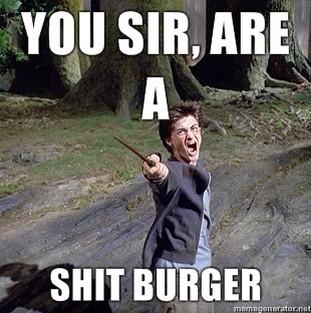 Funny Insult You Sir Are A Shit Burger Meme Photo