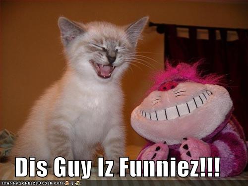 Funny Laughing Cat Picture