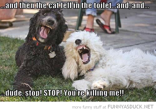 Funny Laughing Dogs Image