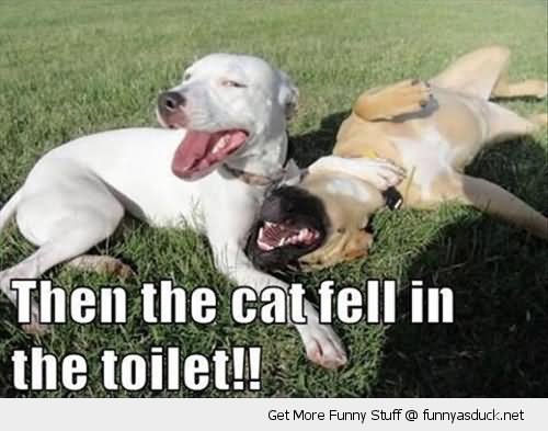 Funny Laughing Dogs Picture For Facebook
