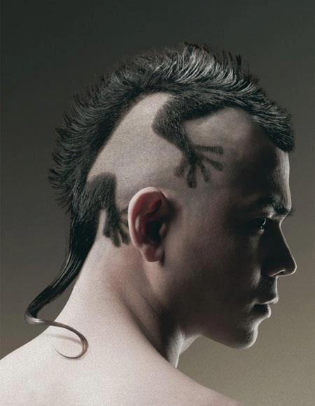 [Image: Funny-Lizard-Haircuts-For-Men.jpg]