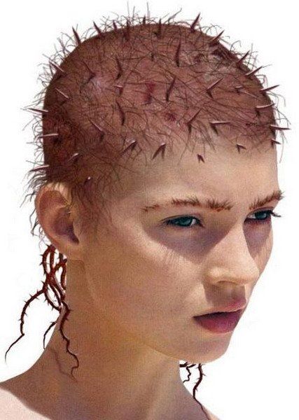 Girl With Thorn Haircut Funny Picture