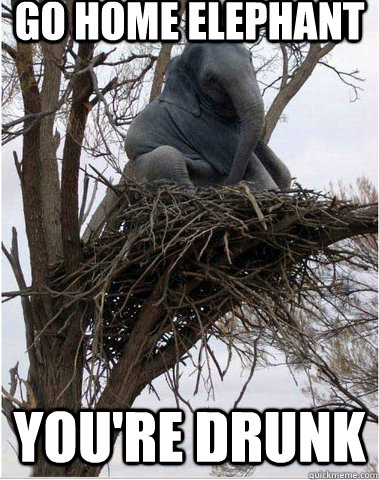Go Home Elephant You Are Drunk Funny Meme Picture