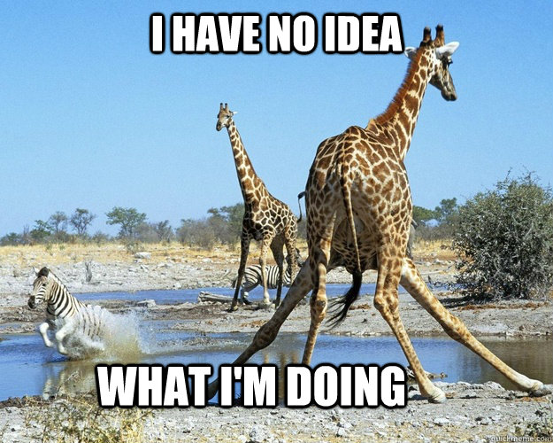 I Have No Idea What I Am Doing Funny Giraffe Meme Image