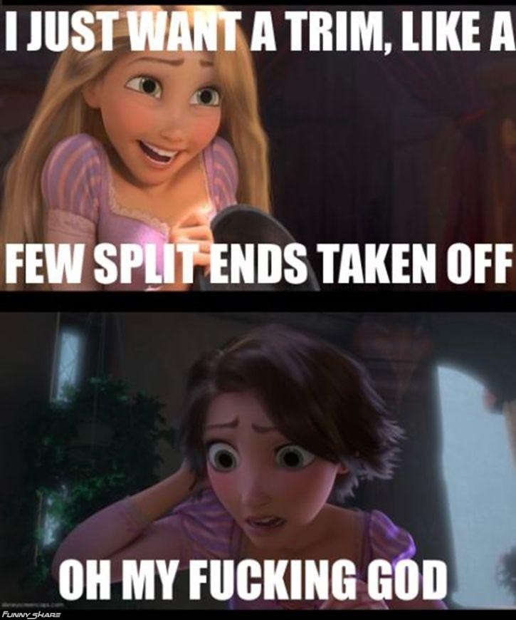 I Just Want A Trim Like A Few Split Ends Taken Off Oh My Fucking God Funny Haircut Meme Image