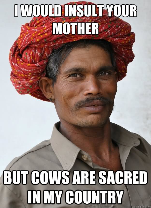 I Would Insult Your Mother But Cows Are Sacred In My Country Funny Insult Meme Picture