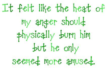 It felt like the heat of my anger should physically burn him but he only seemed more amused