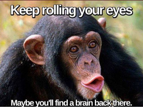 Keep Rolling Your Eyes Maybe You Will A Brain Back There Funny Insult Meme Image