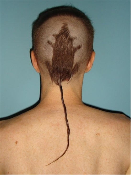 Man With Mouse Haircut Funny Picture For Facebook