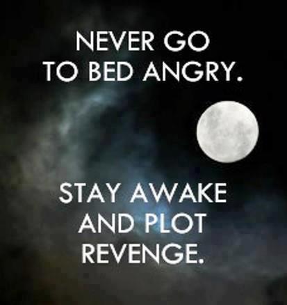 Never go to bed angry. Stay awake and plot revenge.