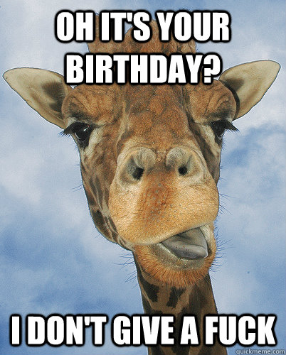 Oh It's Your Birthday I Don't Give A Fuck Funny Giraffe Meme Image