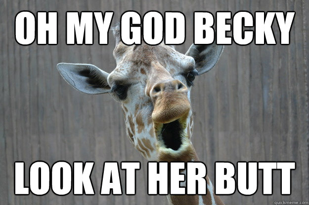 Oh My God Becky Look At Her Butt Funny Giraffe Meme Photo