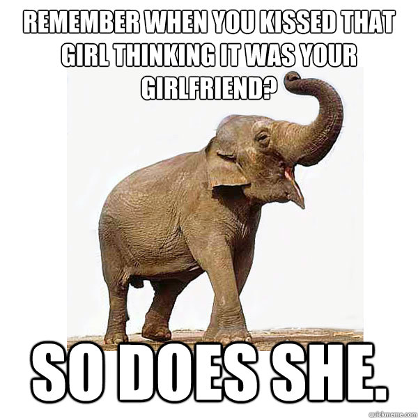 Remember When You Kissed That Girl Thinking It Was Your Girlfriend Funny Elephant Meme Photo For Facebook