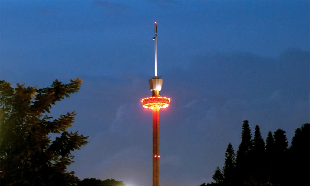 Tiger Sky Tower At Night Picture